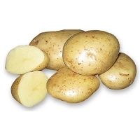 Картофель 