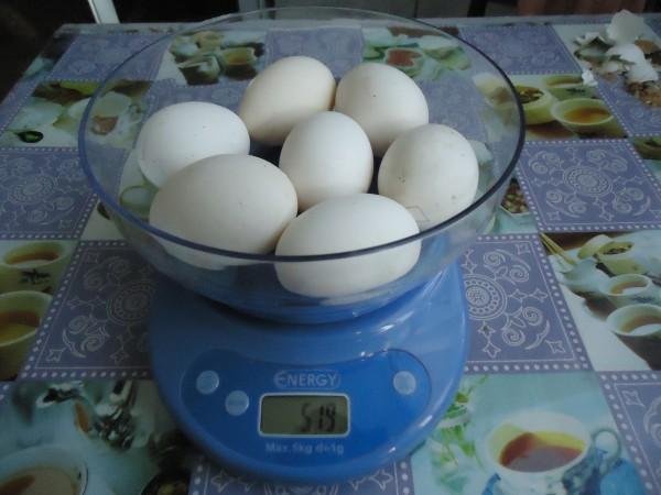Инкубационное яйцо Пушкинской породы кур