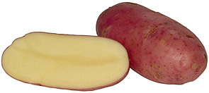 Картофель сорта 