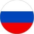 Пластина шунгитовая для телефона круглая Флаг России диаметр 20 мм
