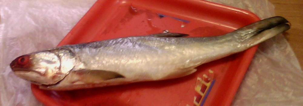 Рыба Threadfin Fish