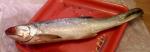 Рыба Threadfin Fish