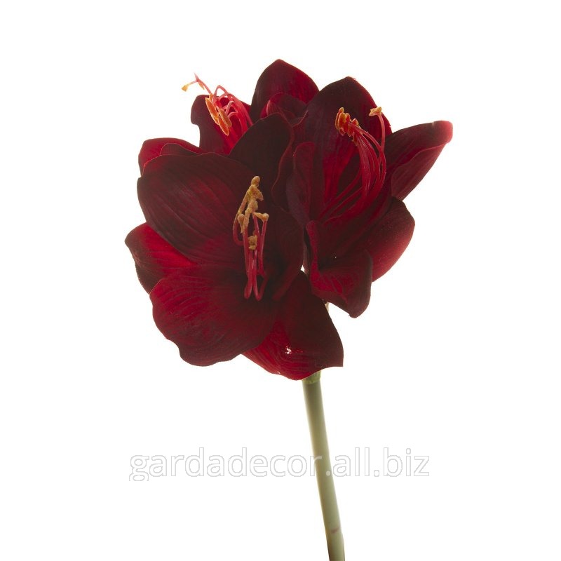 Искусственный цветок Амарилис черно-красный 7A05A00004