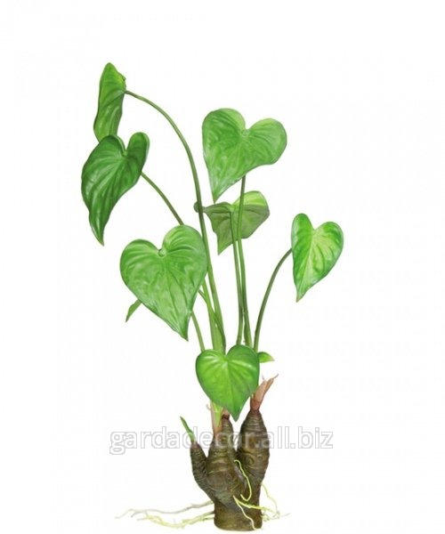 Растение искусственное Алоказия FA18189