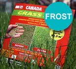 CANADA GREEN FROST+