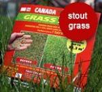 Газон КАНАДА ГРИН STOUT GRASS