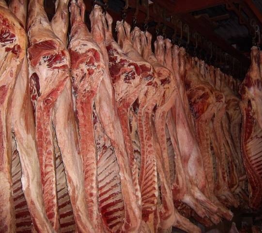Мясо свинины,говядины,ЦБ оптом от производителя