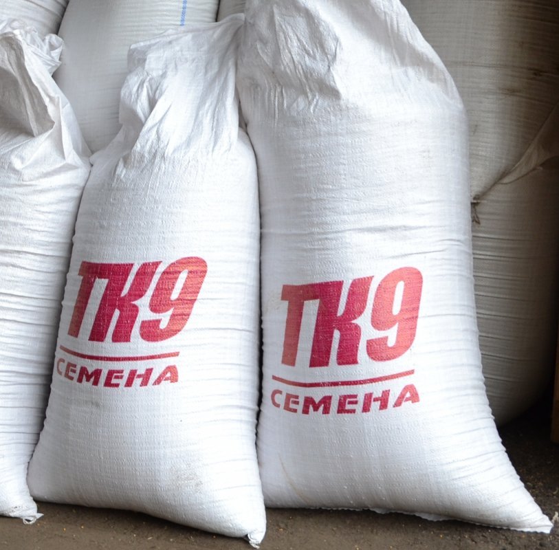 Тк 9. Вика продукция зерно