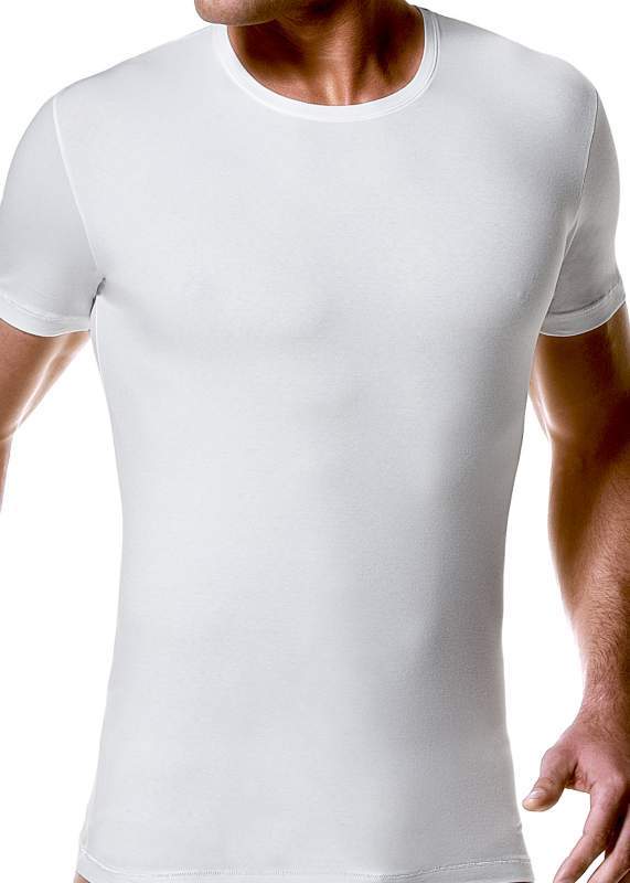 Футболка мужская Impetus -  футболка Cotton Premium арт. 1389994