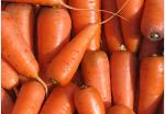 Морковь "Макарена" сетка 35 кг