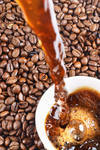 Кофе жаренный в зернах. Купаж (арабика 95%/рабуста5%).Производство Бразилия.