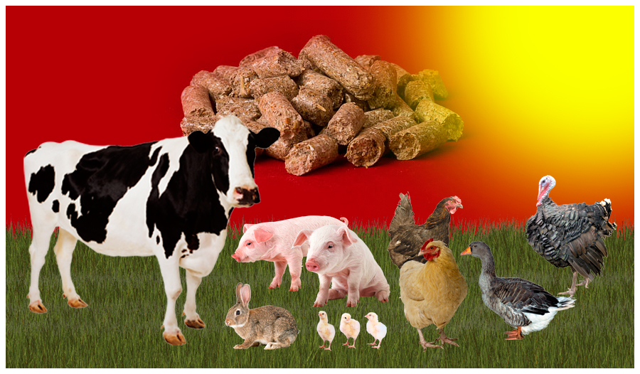 высококачественные корма для всех видов животных.