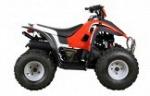 Квадроцикл STELS ATV 100 C