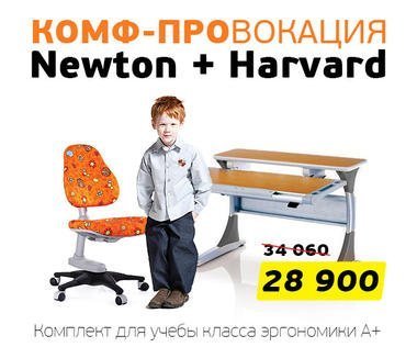 Комплект растущей мебели - эргономичное кресло Ньютон + парта трансформер ГАРВАРД