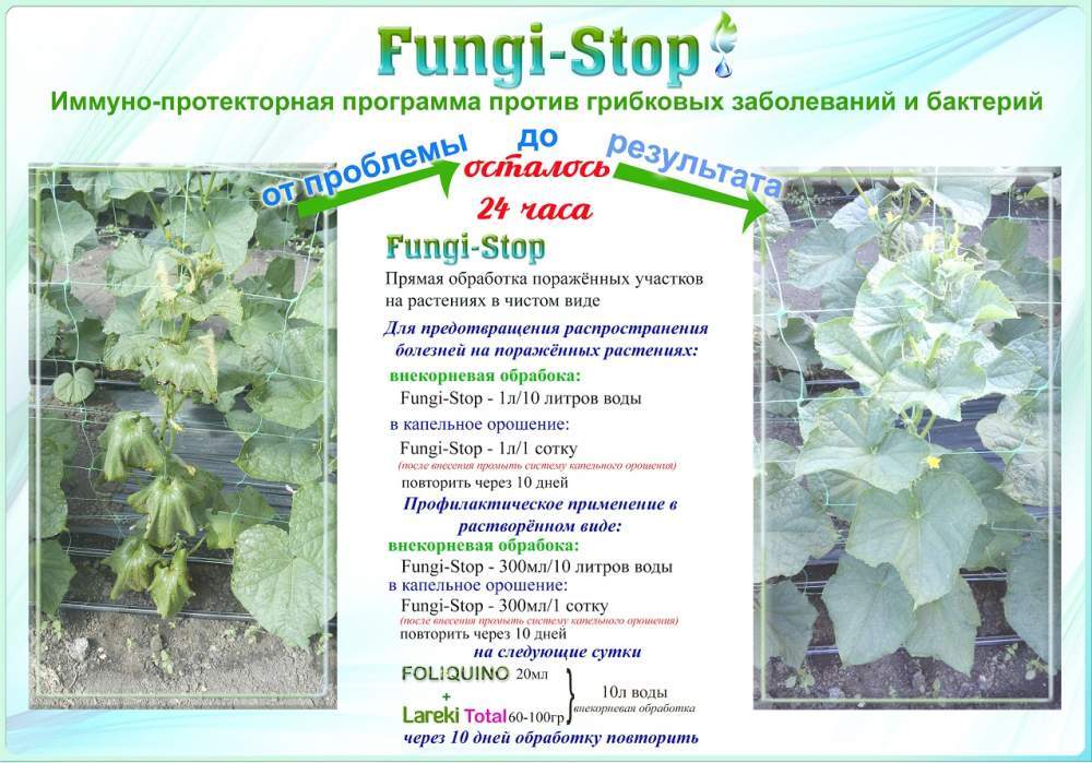 Имунно-проектная программа против грибковых заболеваний и бактерий Fungi-Stop