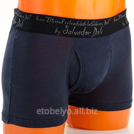 Шорты мужские SD 229 (3XL)