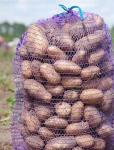 Картофель от производителя