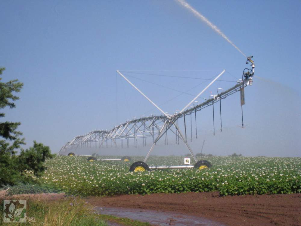 Система капельного орошения T-L Irrigation