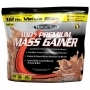 100% Premium Mass Gainer.