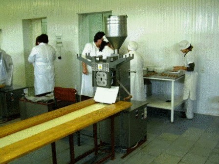 Пельменная линия универсальная АИМ-01