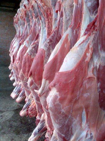 Закупаем на постоянной основе мясо: полутуши говядины и свинины