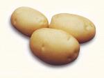 Картофель семенной Импала