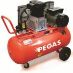 Масляный компрессор PEGAS DH-30100