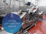 Автоматическая линия для обработки кишок КРС Feleti от производителя!