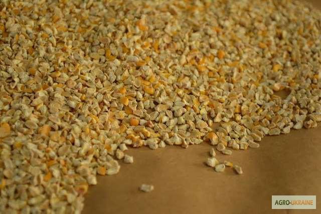 Кукуруза фасованная, дробленая кукуруза ф.3 мм., 2мм., до 0,5 мм. (из зародыша, стенок зерна, крупы)