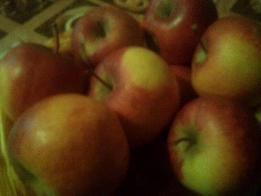 Яблоки оптом в Москве