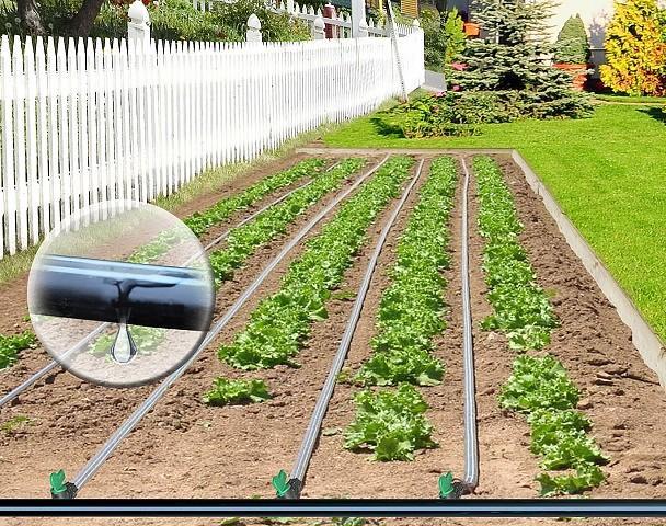 Капельная эмиттерная лента полива растений Tuboflex длина 25 метров шаг 50 см Капельная эмиттерная лента полива растений Tuboflex длина 25 метров шаг 50 см