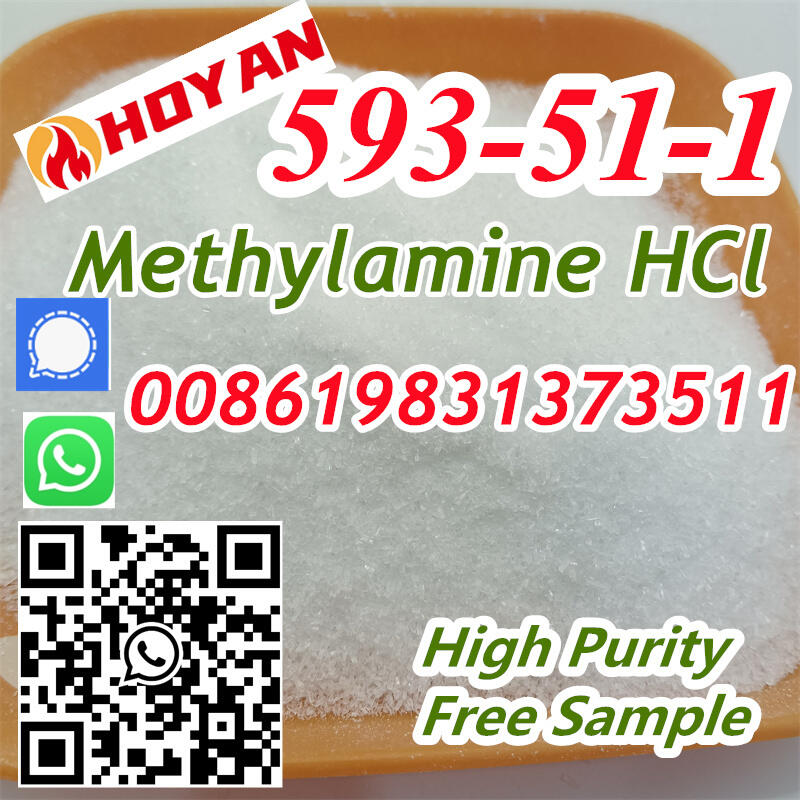 CAS 593-51-1 Seller Methylamine Hydrochloride Methylamine HCl Methylammonium chloride