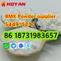 BMK Powder,CAS 5449–12–7 new BMK Glycidic Acid powder DE/ AU pickup