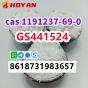 cas 1191237-69-0 GS441524 powder high quality bulk price