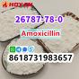 cas 26787-78-0 Amoxicillin powder ship to eu/ca/au/ru
