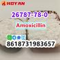 cas 26787-78-0 Amoxicillin powder ship to eu/ca/au/ru