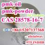 Pmk Powder Pmk Oil Pmk Recipe CAS 28578-16-7/2503-44-8