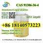 CAS 91306-36-4 Top Quality Bromoketon-4 Liquid /alicialwax With Best Price