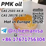 +8617671756304 CAS 28578-16-7 PMK Ethyl Glycidate CAS 2503-44-8