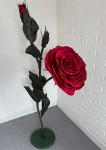 Куст розы - красный для интерьера