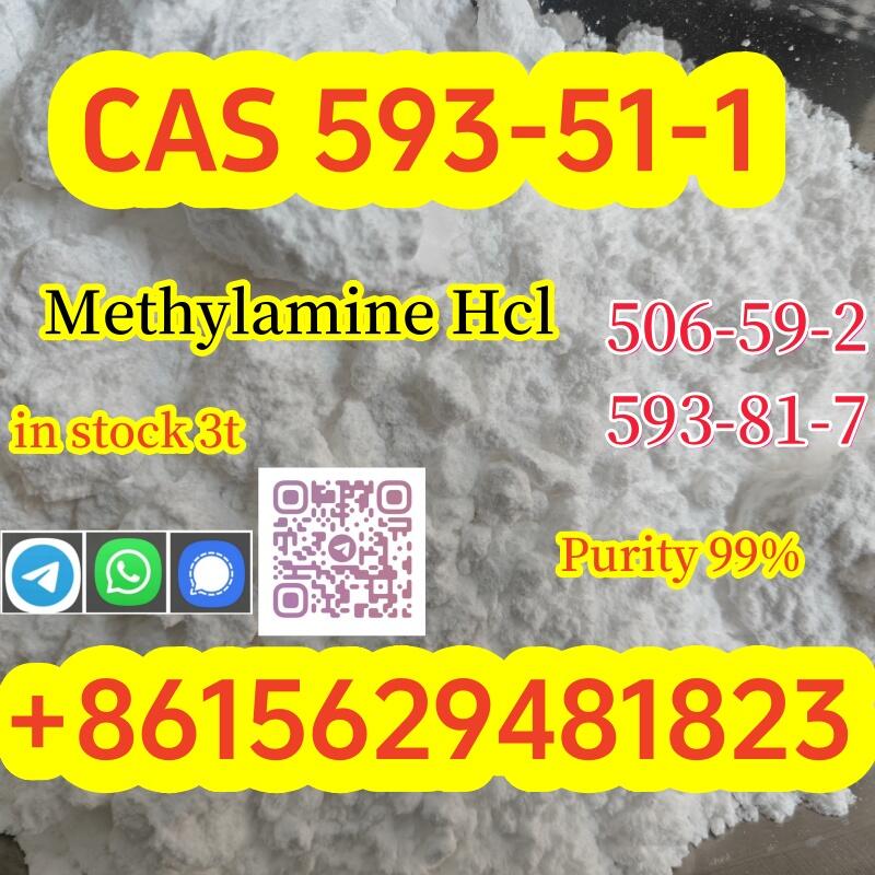 Purity 99% Methylamine hydrochloride CAS 593–51–1 Large quantity available from stock
