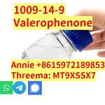 99% purity Valerophenone Cas 1009-14-9 factory price warehouse Europe