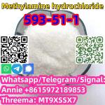 good price fast delivery CAS 593-51-1 Methylamine hydrochloride - Раздел: Товары оптом