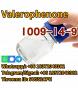 Valerophenone CAS 1009-14-9 factory price warehouse Europe 99% purity