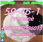 Procaine manufacturer supply CAS 59-46-1 Procaine hcl powder with China factory price +8617720586015