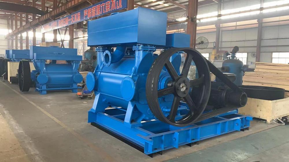 2BE1 252-0 Liquid Ring Vacuum Pump/Pressure Pump 2BE1 252-0 Liquid Ring Vacuum Pump/Pressure Pump