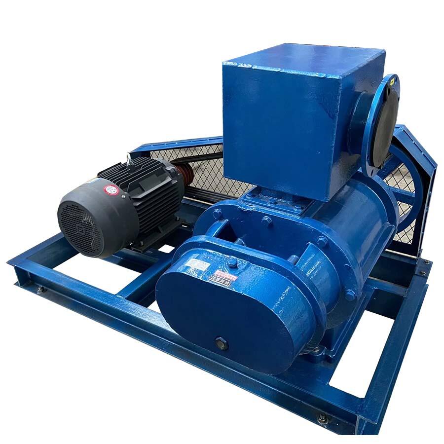 Zbk03 Series Roots Vacuum Pump