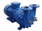 2BV2061-Ex Liquid Ring Vacuum Pump
