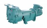 2BV6111 Liquid Ring Vacuum Pump