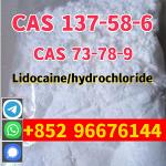 100% Arrive/ Safe Customs lidocaine CAS 137-58-6/Lidocaine Hcl CAS 73-78-9 - Раздел: Бытовая электроника, фототехника